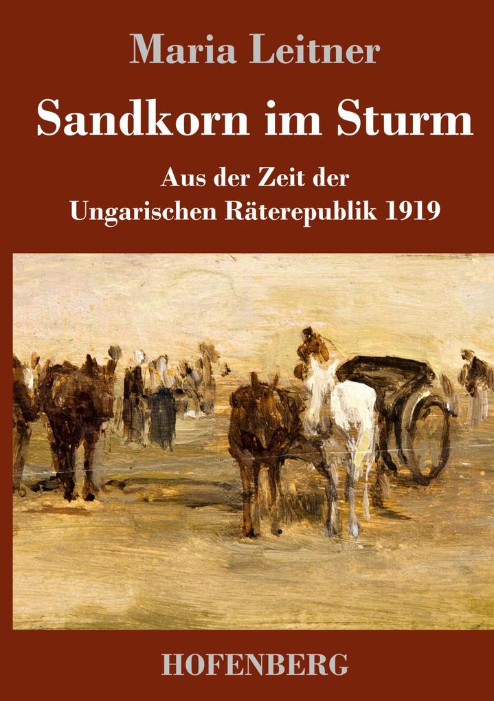 Image of Sandkorn im Sturm