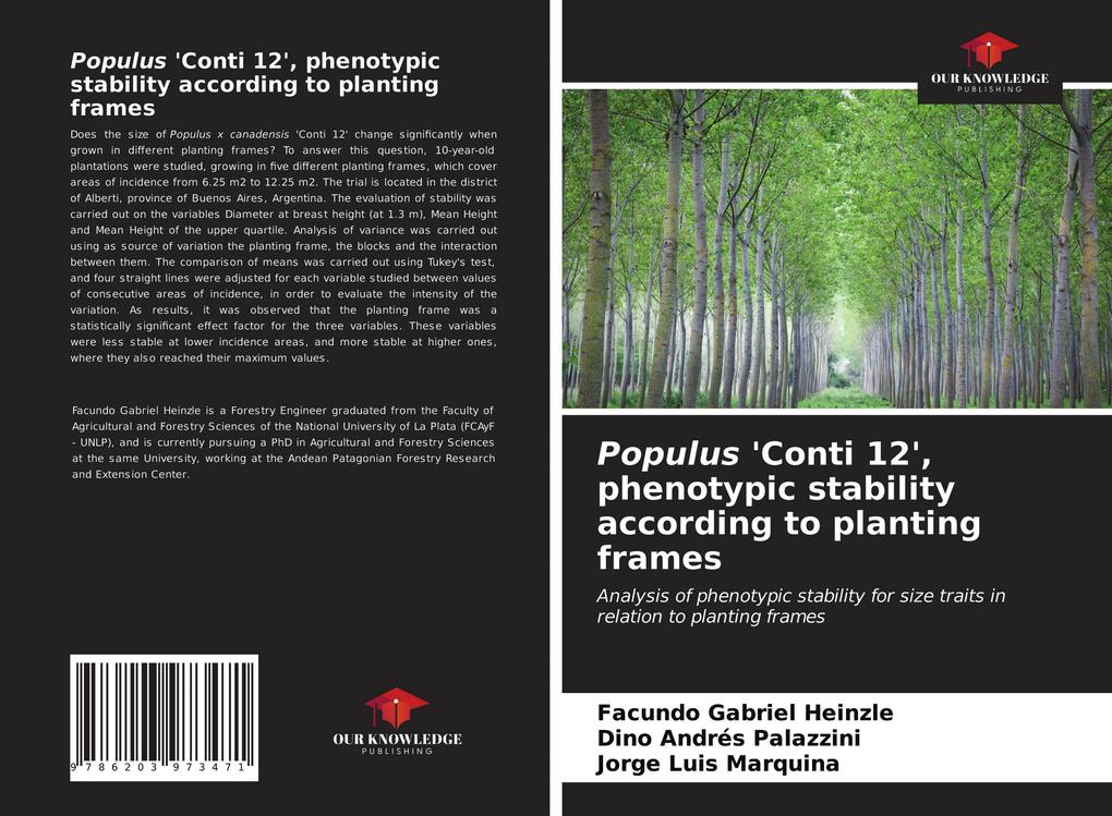 Populus 'Conti 12' phenotypic stability according to planting frames