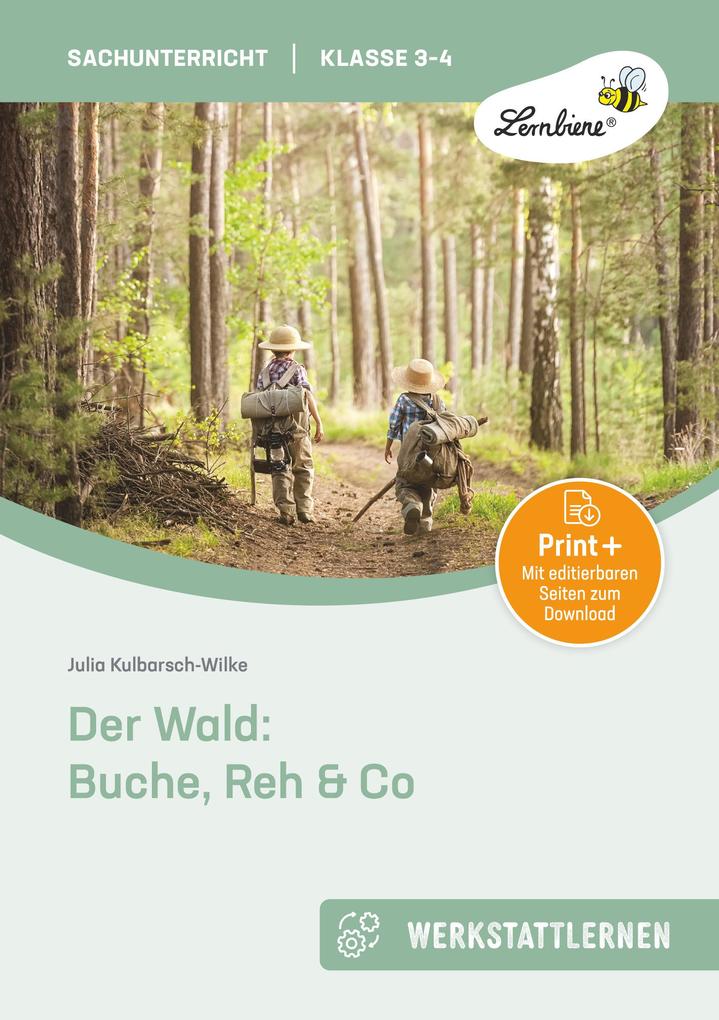 Der Wald: Buche Reh & Co