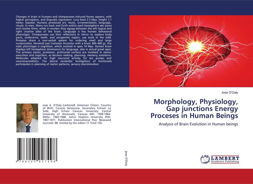 Morphology Physiology Gap junctions Energy Proceses in Human Beings