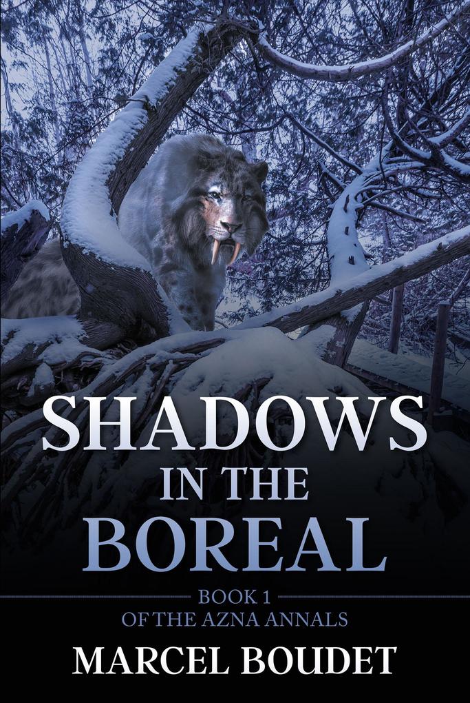 Shadows in the Boreal