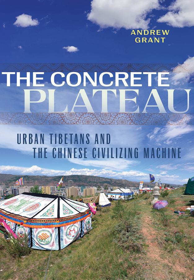The Concrete Plateau