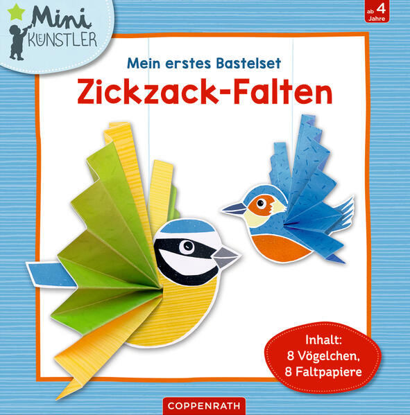 Image of Buch - Mein erstes Bastelset: Zickzack-Falten