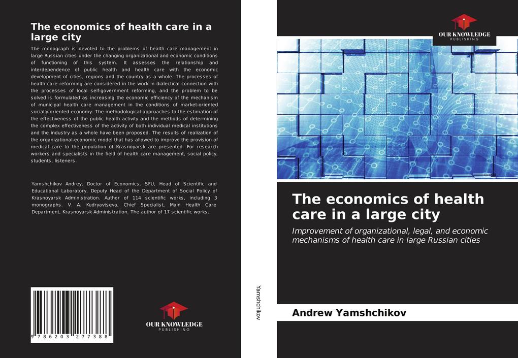 The economics of health care in a large city