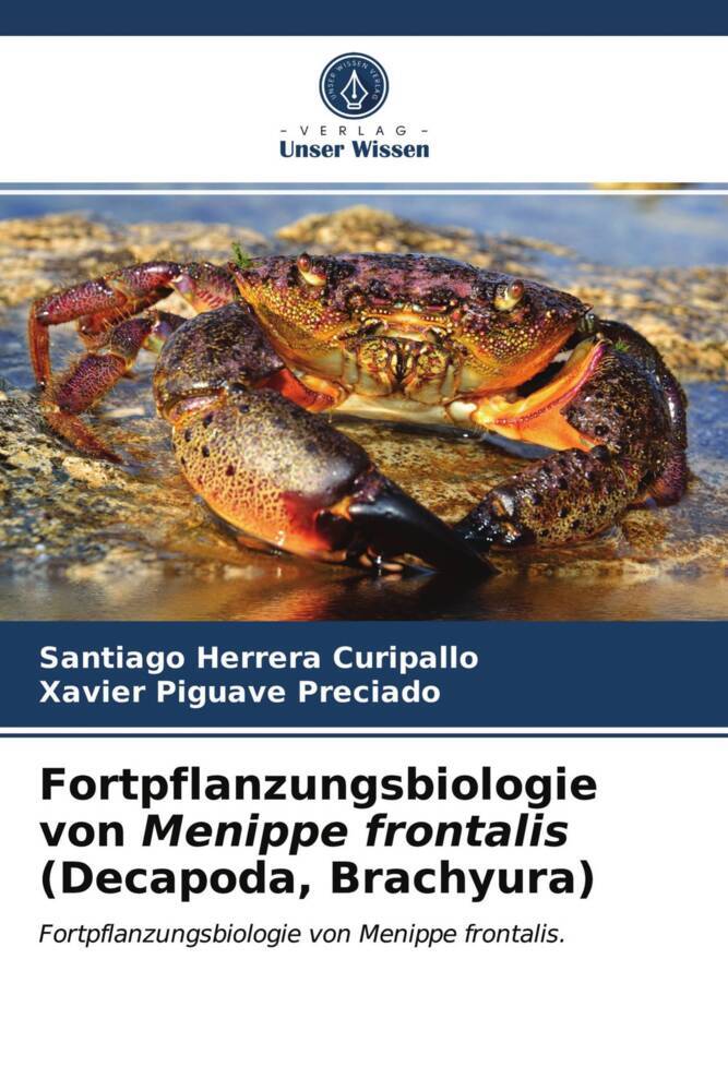 Fortpflanzungsbiologie von Menippe frontalis (Decapoda Brachyura)