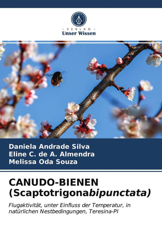 CANUDO-BIENEN (Scaptotrigonabipunctata)