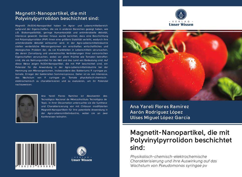 Magnetit-Nanopartikel die mit Polyvinylpyrrolidon beschichtet sind:
