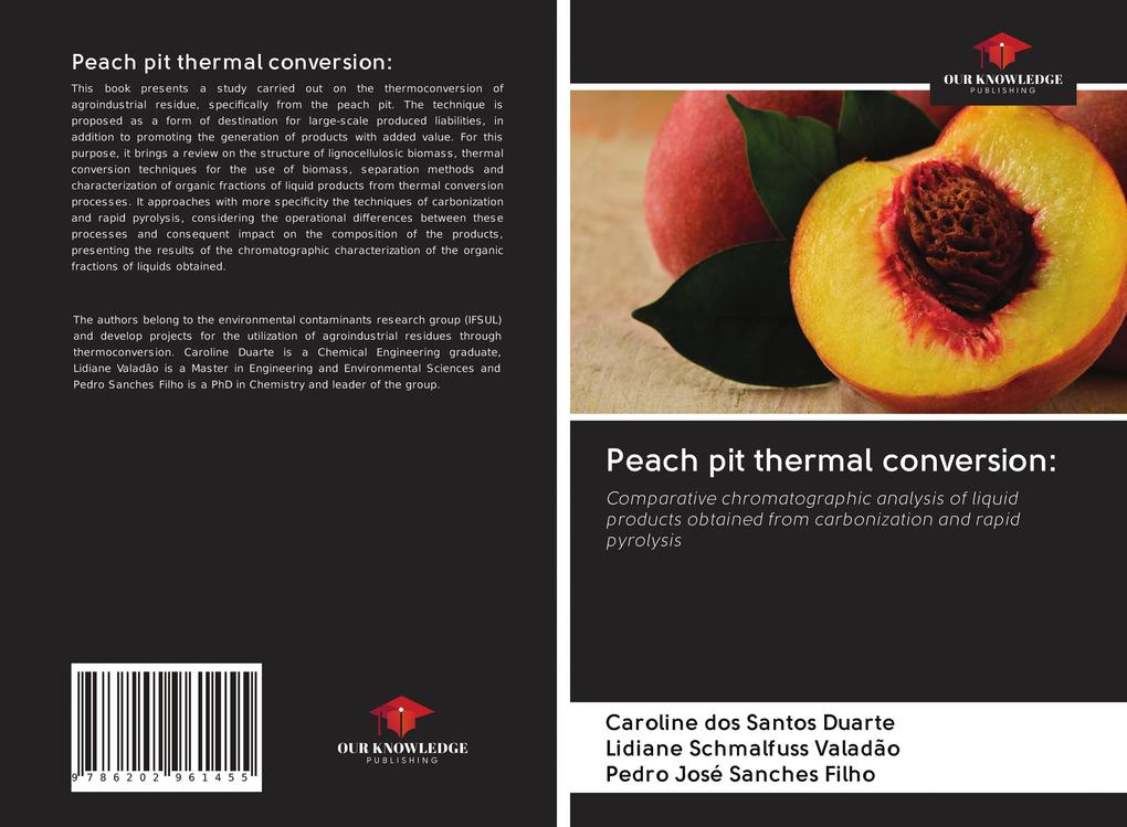 Peach pit thermal conversion: