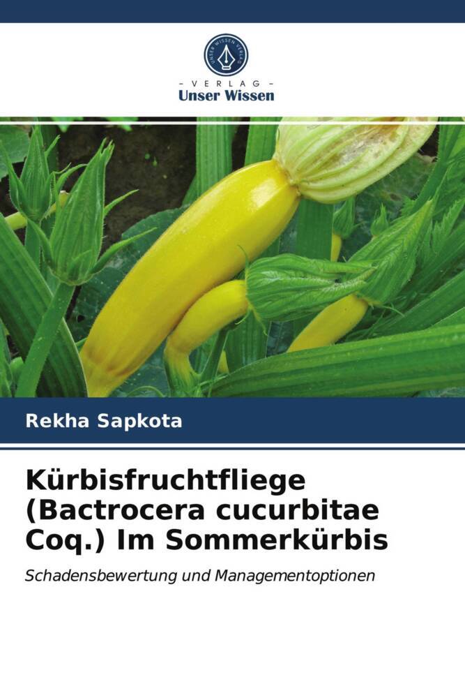 Kürbisfruchtfliege (Bactrocera cucurbitae Coq.) Im Sommerkürbis
