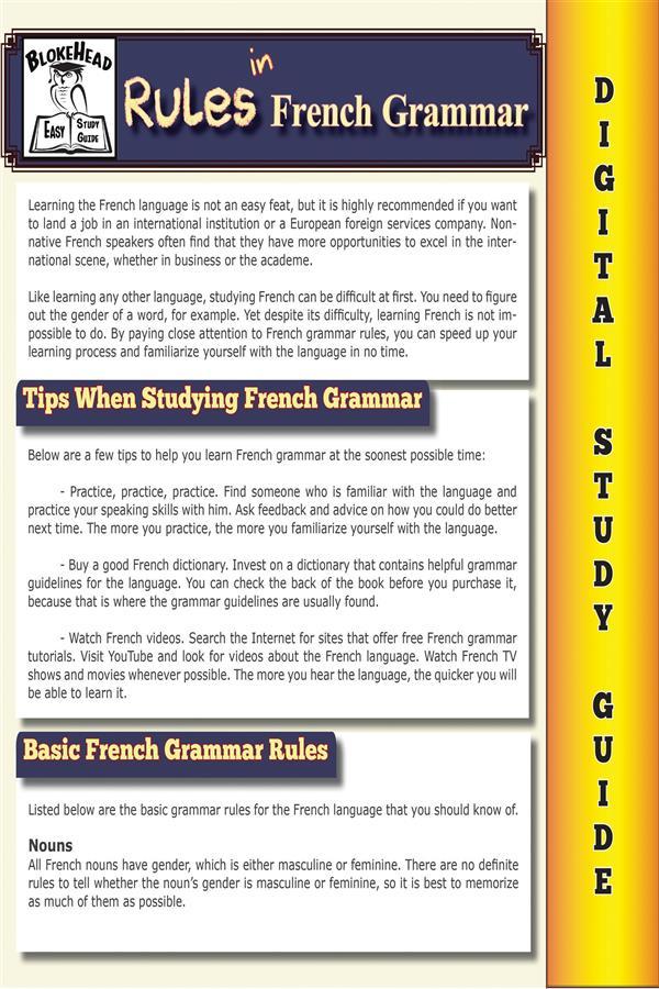 French Grammar ( Blokehead Easy Study Guide)