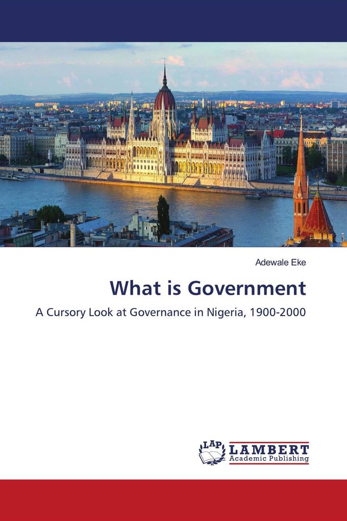 What is Government