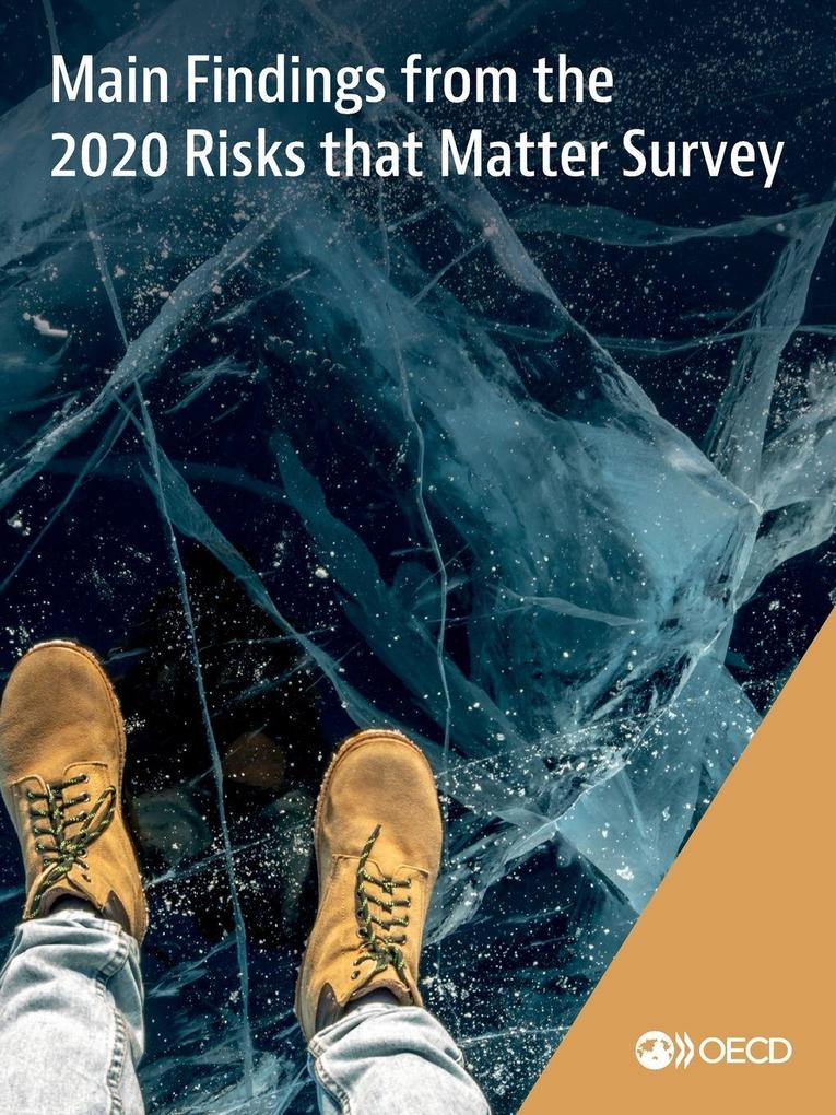 Main Findings from the 2020 Risks that Matter Survey