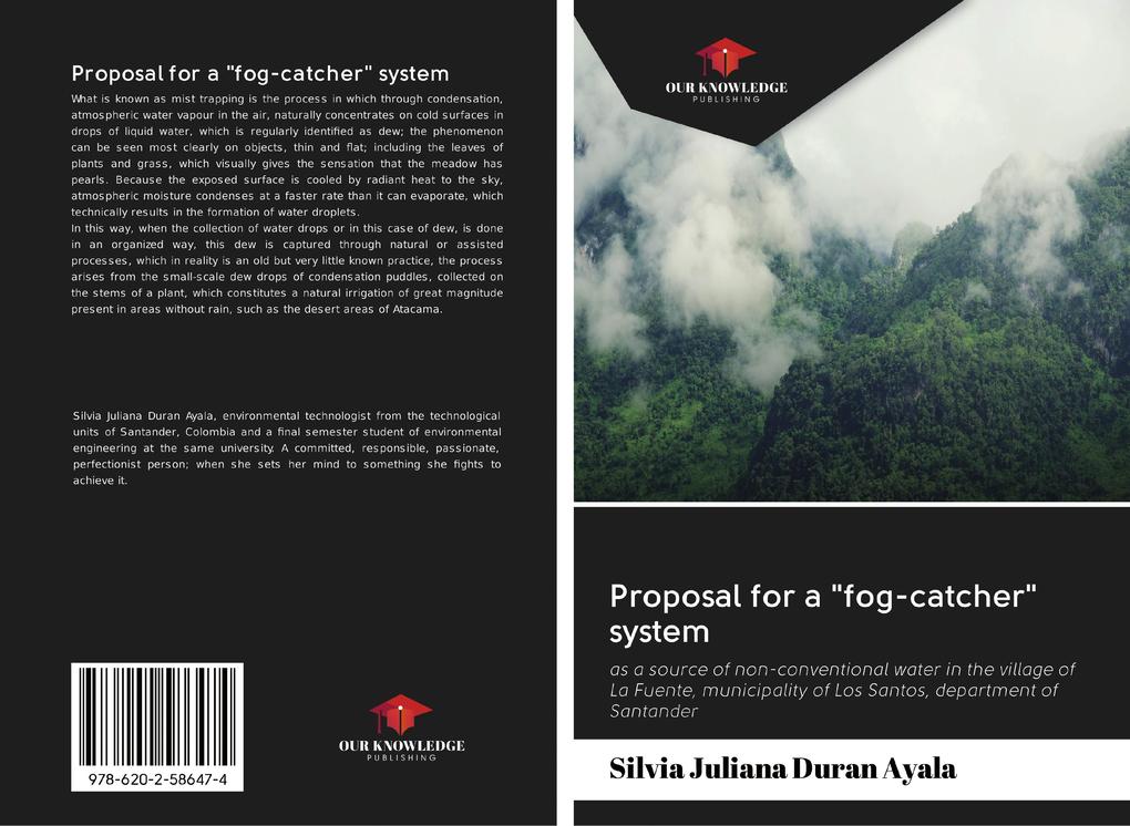 Proposal for a 'fog-catcher' system