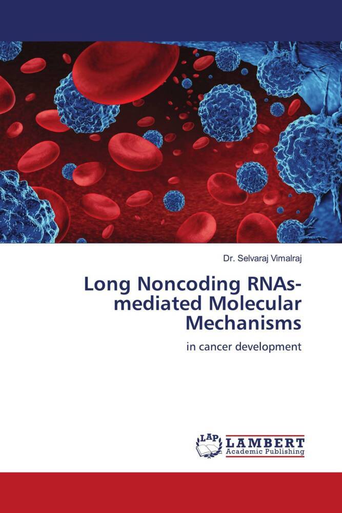 Long Noncoding RNAs-mediated Molecular Mechanisms