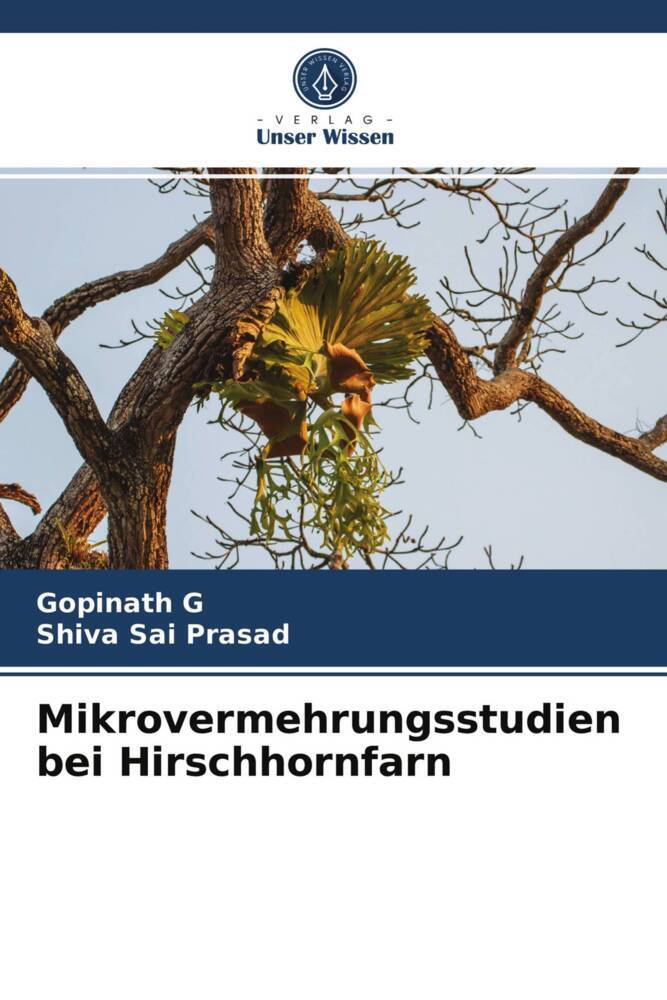 Mikrovermehrungsstudien bei Hirschhornfarn