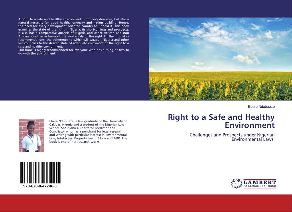 Right to a Safe and Healthy Environment