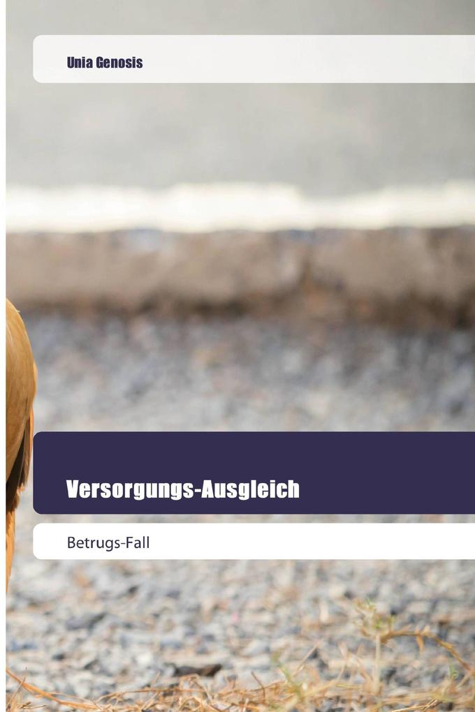 Versorgungs-Ausgleich