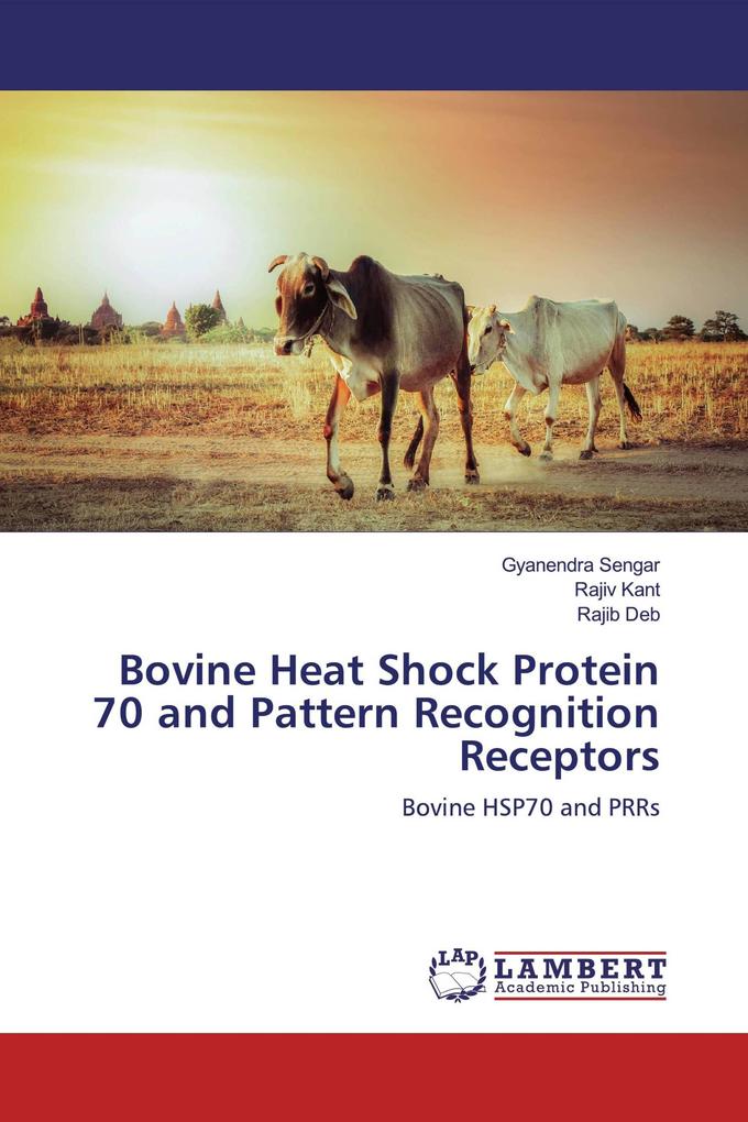 Bovine Heat Shock Protein 70 and Pattern Recognition Receptors