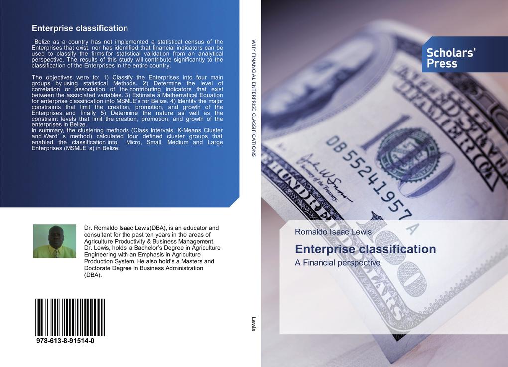 Enterprise classification