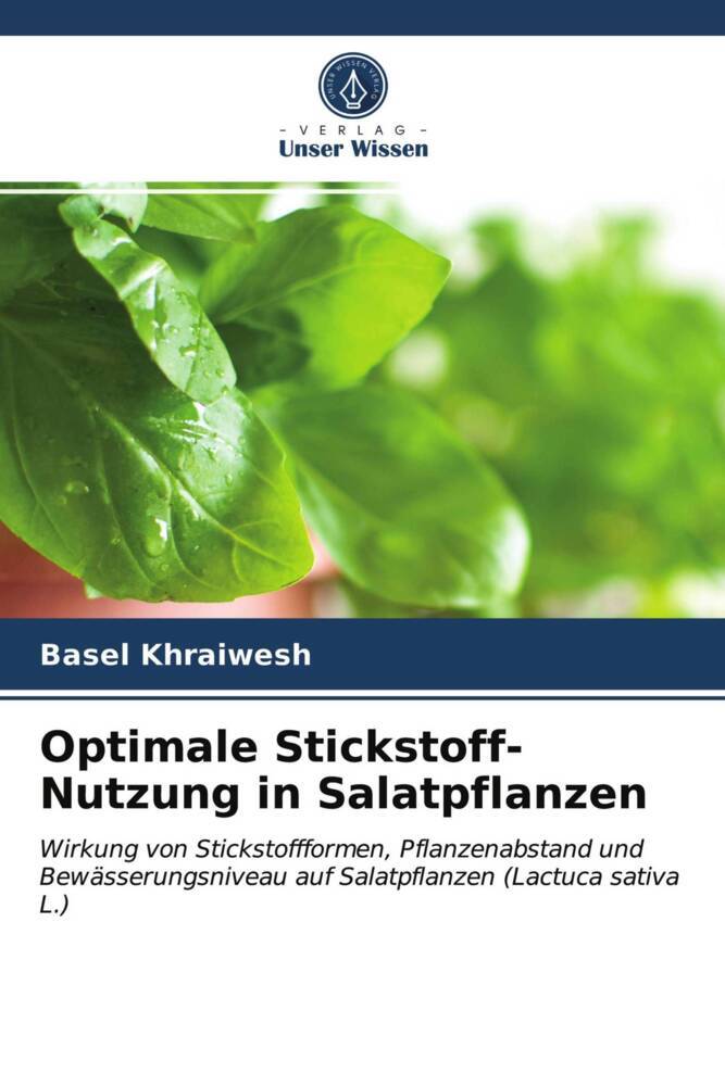 Optimale Stickstoff-Nutzung in Salatpflanzen