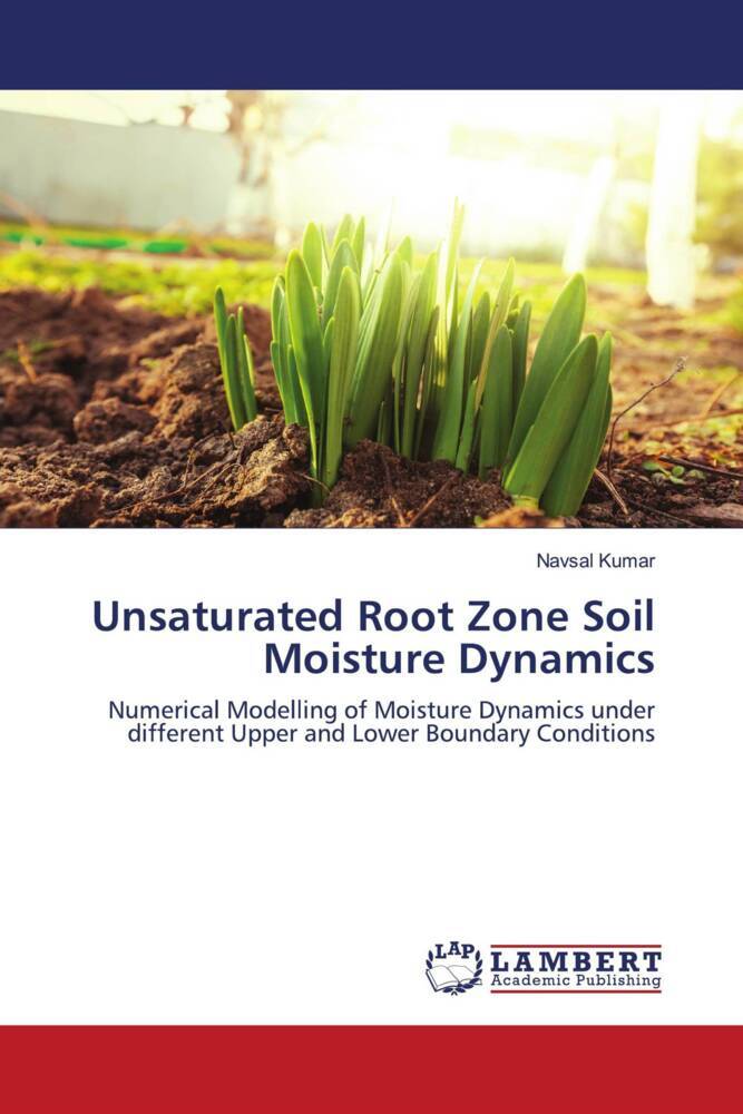 Unsaturated Root Zone Soil Moisture Dynamics