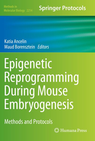 Epigenetic Reprogramming During Mouse Embryogenesis