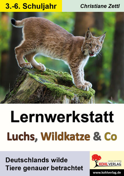 Lernwerkstatt Luchs Wildkatze & Co