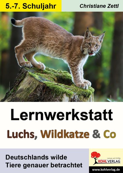 Lernwerkstatt Luchs Wildkatze & Co
