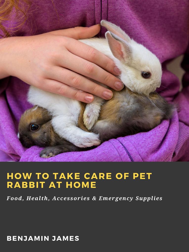 How to Take Care of Pet Rabbit at Home: Food Health Accessories & Emergency Supplies
