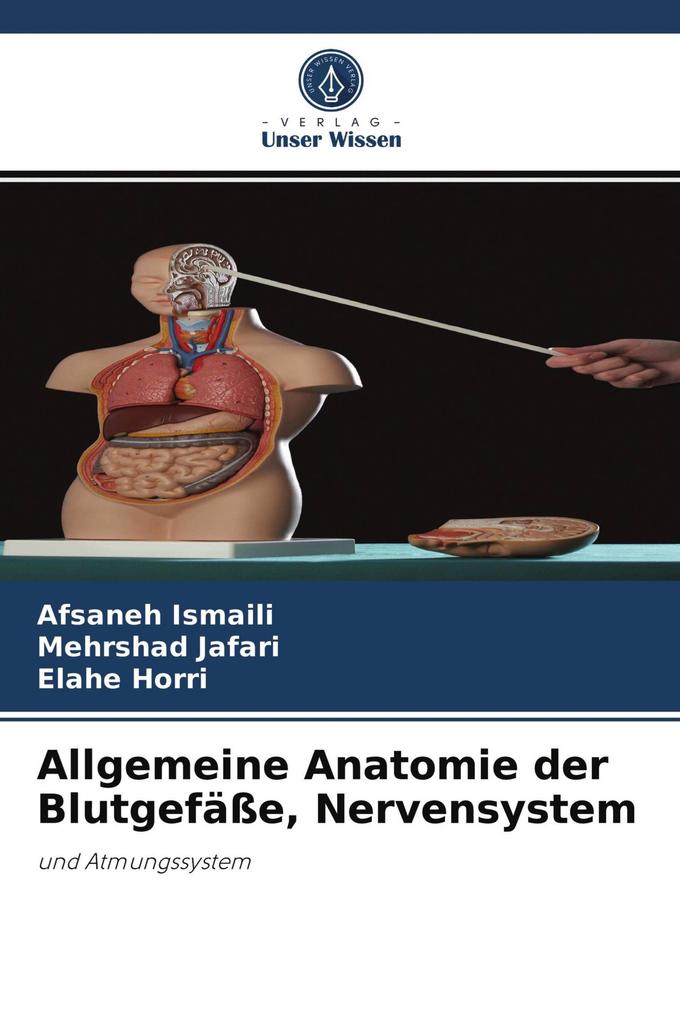 Allgemeine Anatomie der Blutgefäße Nervensystem