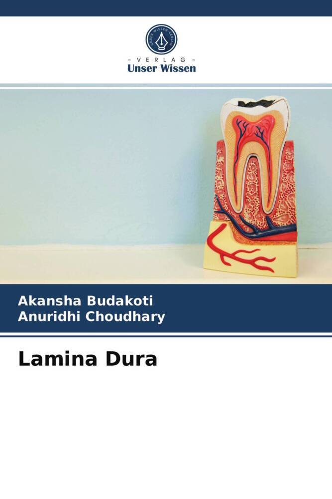 Lamina Dura