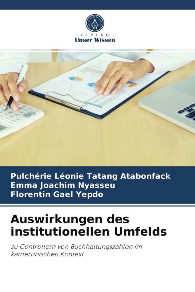 Auswirkungen des institutionellen Umfelds