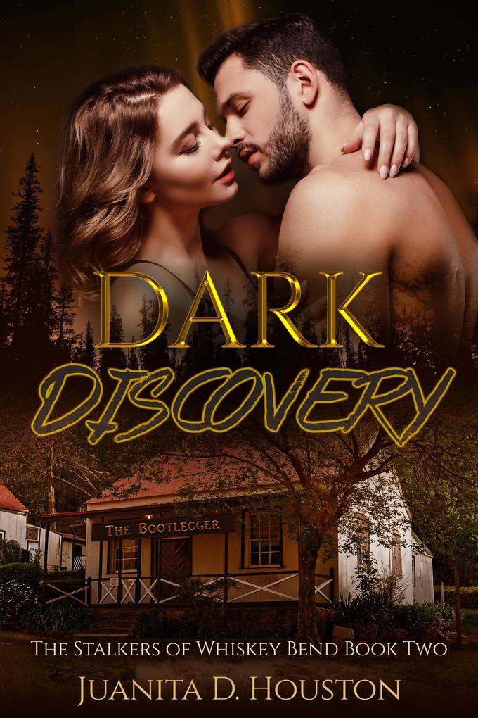 Dark Discovery (The Stalkers of Whiskey Bend #2)