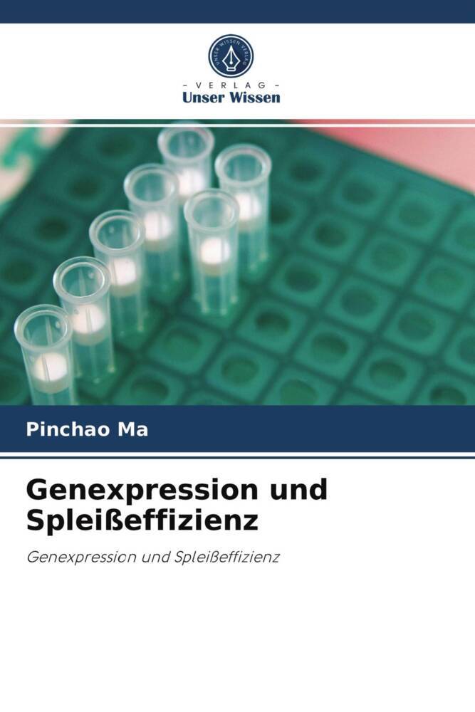 Genexpression und Spleißeffizienz