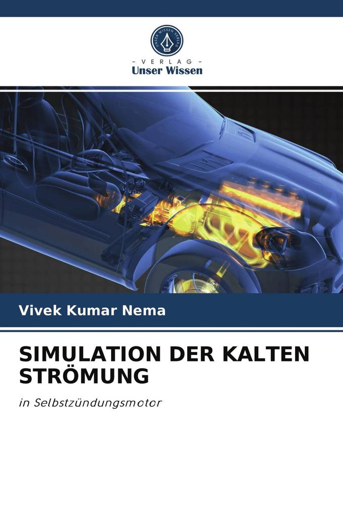SIMULATION DER KALTEN STRÖMUNG