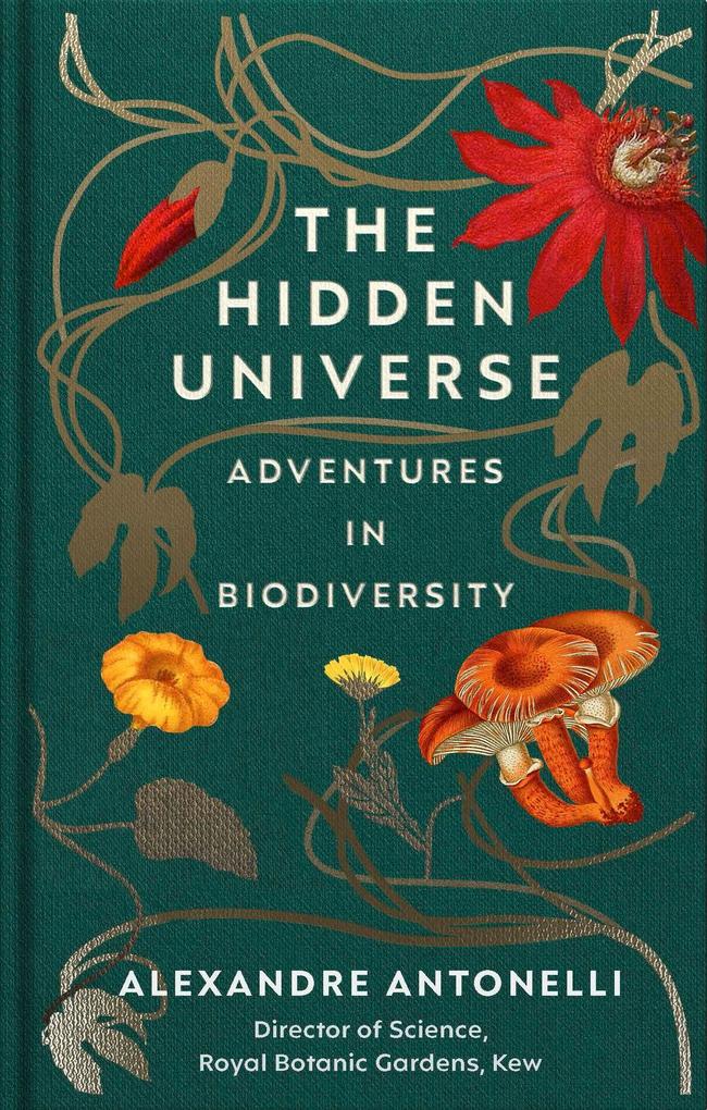 Random House Uk Ltd The Hidden Universe