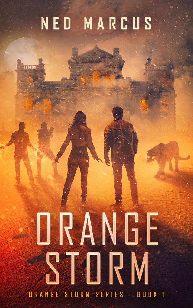 Orange Storm (Orange Storm Series #1)