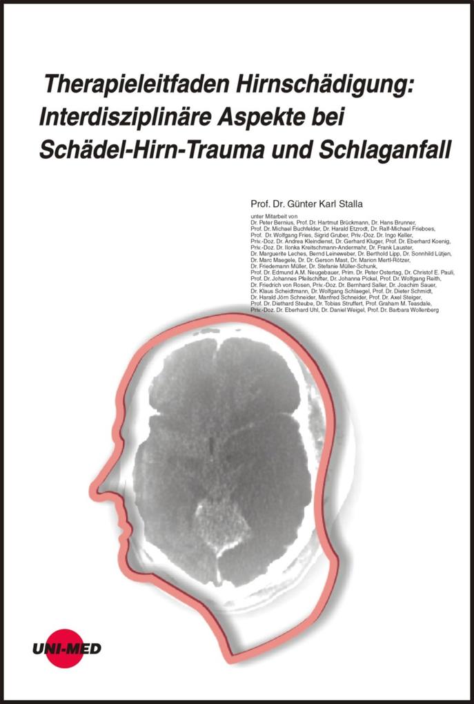 Therapieleitfaden Hirnschädigung: Interdisziplinäre Aspekte bei Schädel-Hirn-Trauma und Schlaganfall