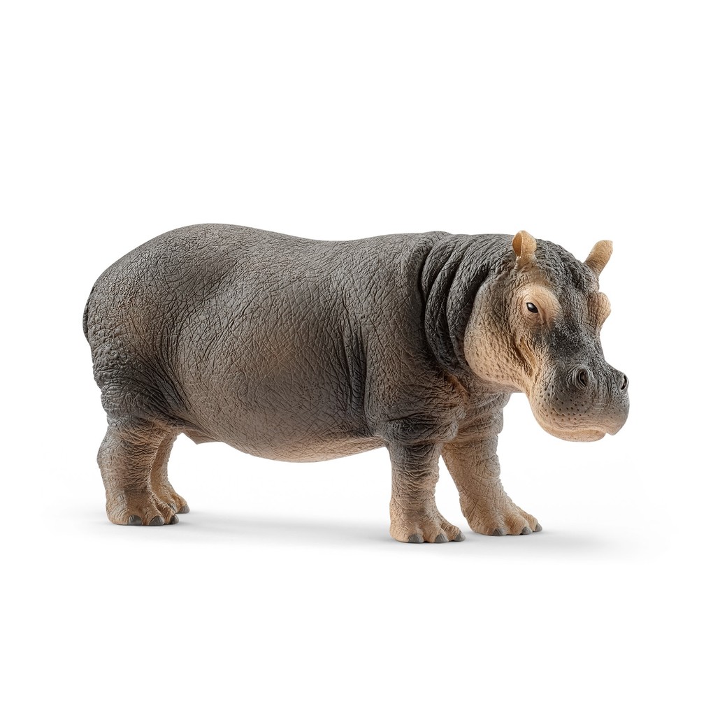 Image of Schleich - Wild Life - Flusspferd