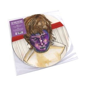 The Front Bottoms (Picture Disc)