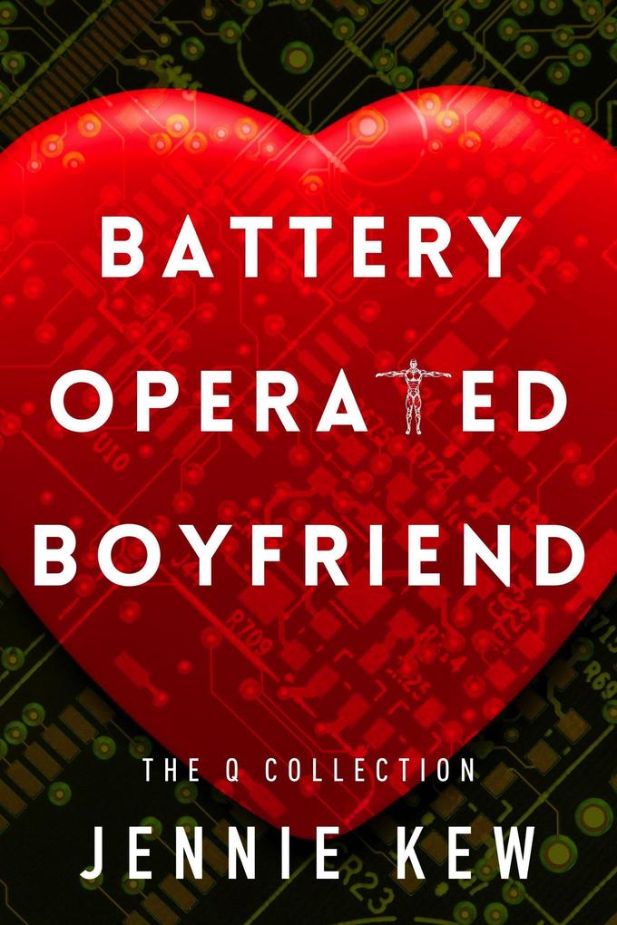 Battery Operated Boyfriend (The Q Collection #7)