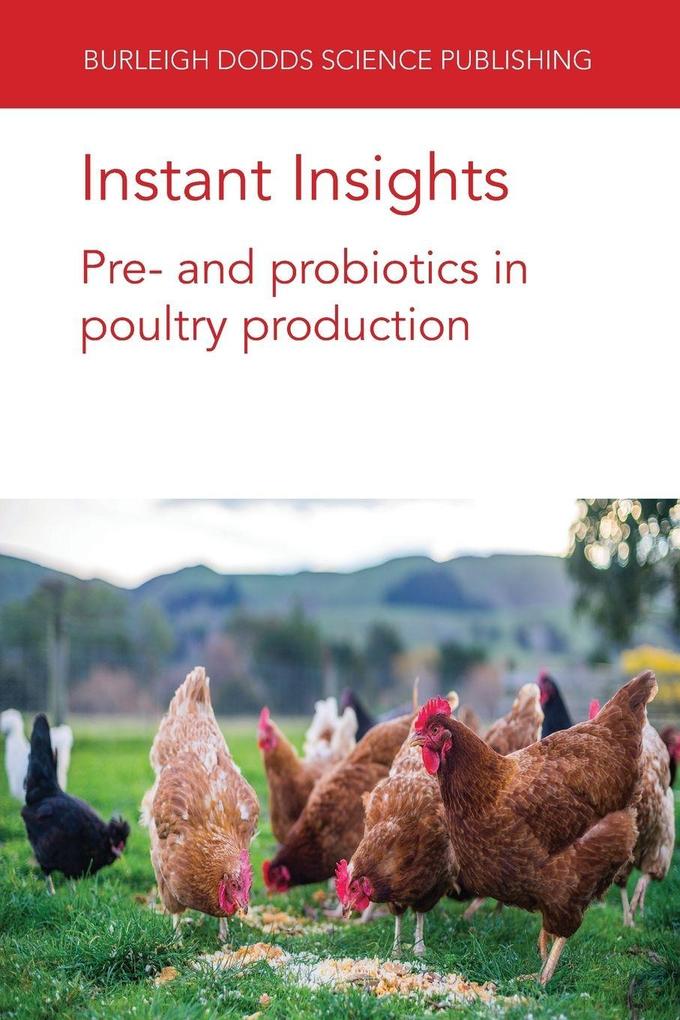 Instant Insights