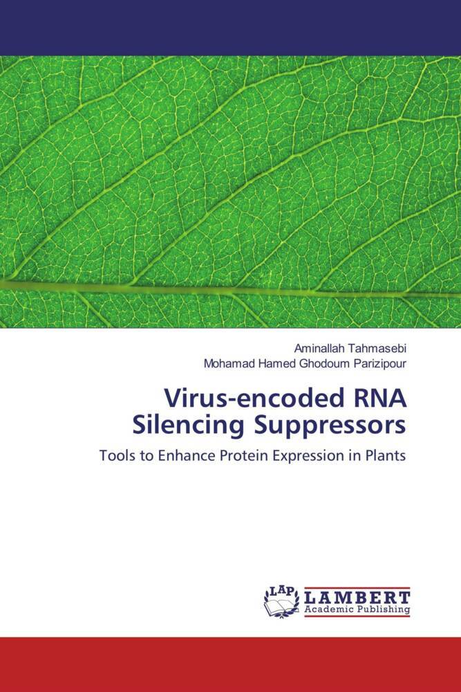 Virus-encoded RNA Silencing Suppressors
