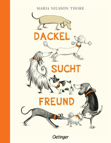 Image of Dackel sucht Freund