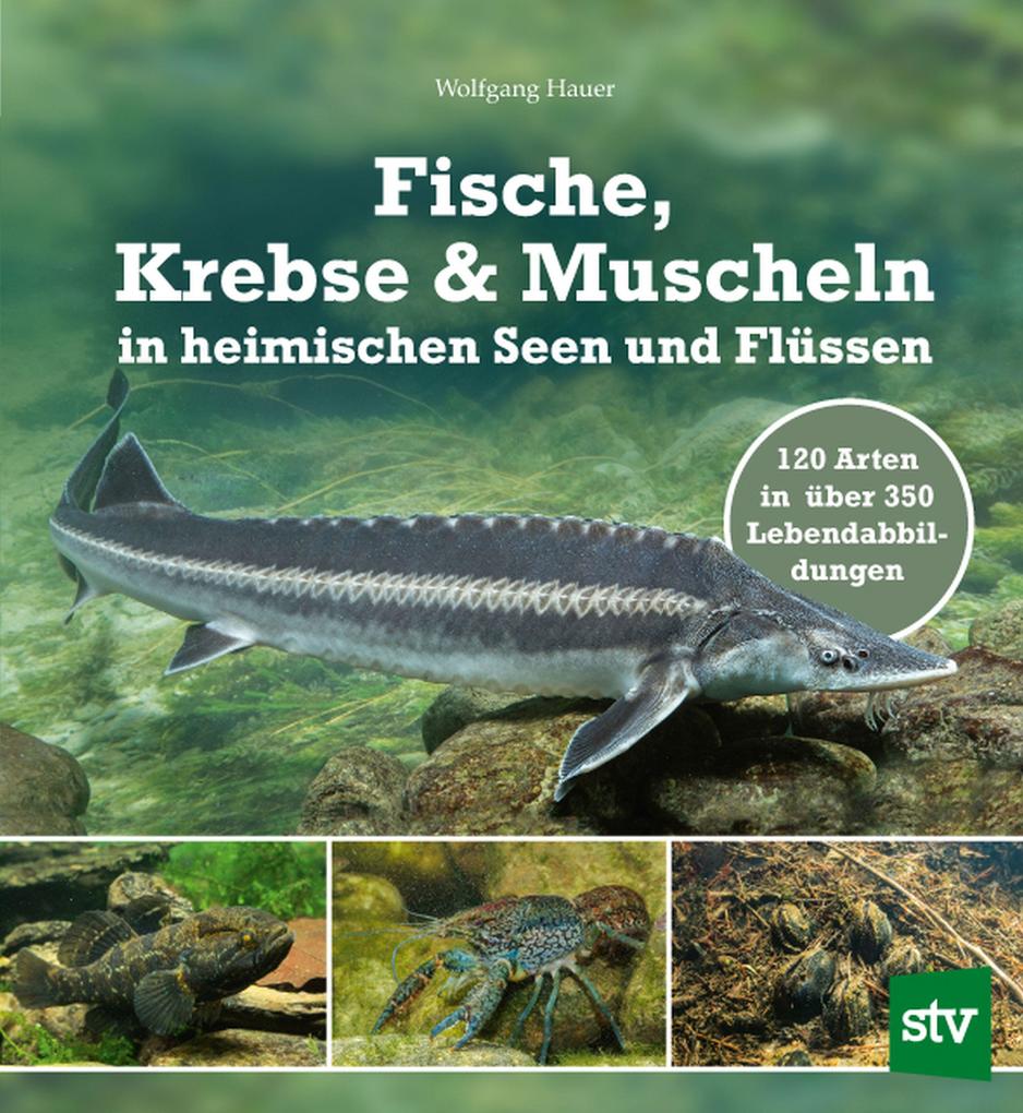 Fische Krebse & Muscheln in heimischen Seen und Flüssen