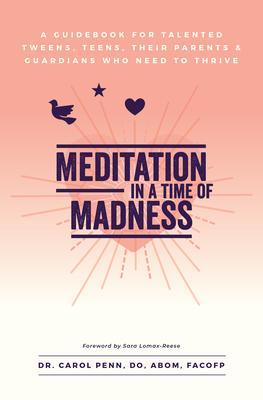 Meditation in a Time of Madness Journal