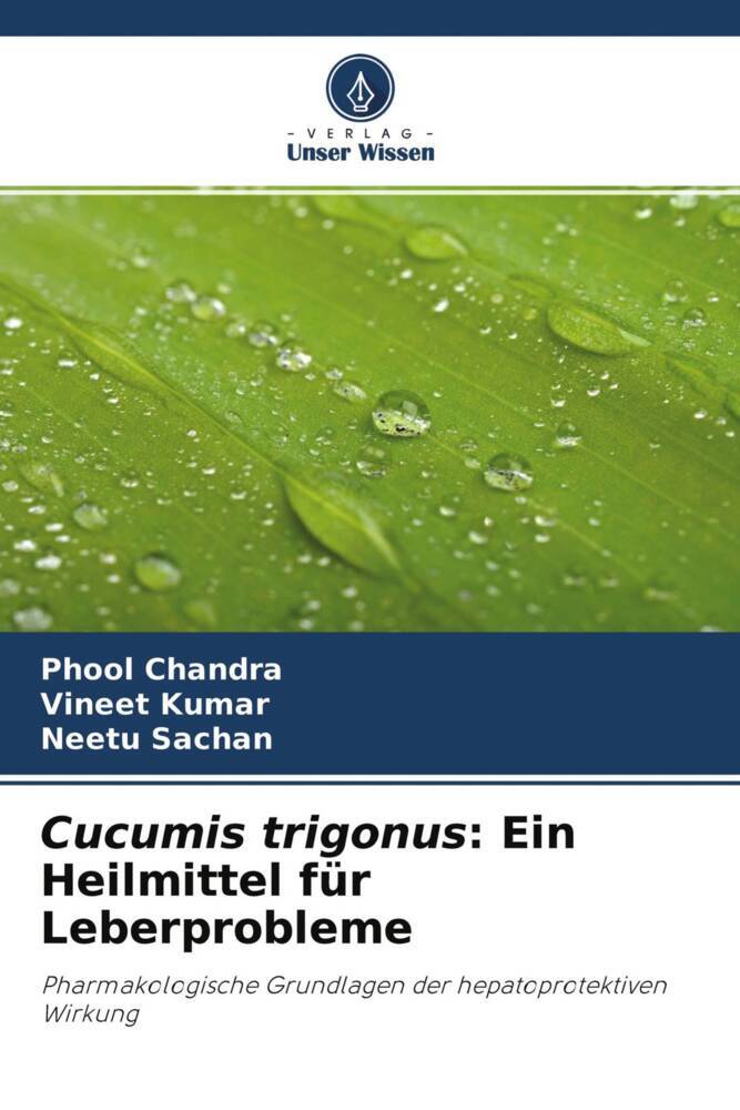 Cucumis trigonus: Ein Heilmittel für Leberprobleme