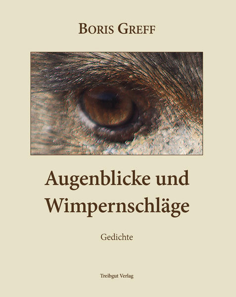 Image of Augenblicke und Wimpernschläge