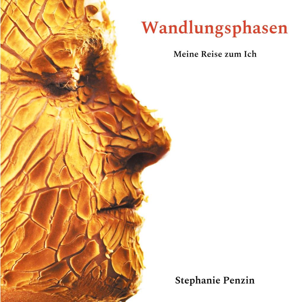 Wandlungsphasen