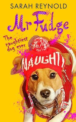 Mr Fudge